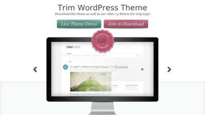 Download Trim WordPress Theme - Responsive and Clean - Call to action