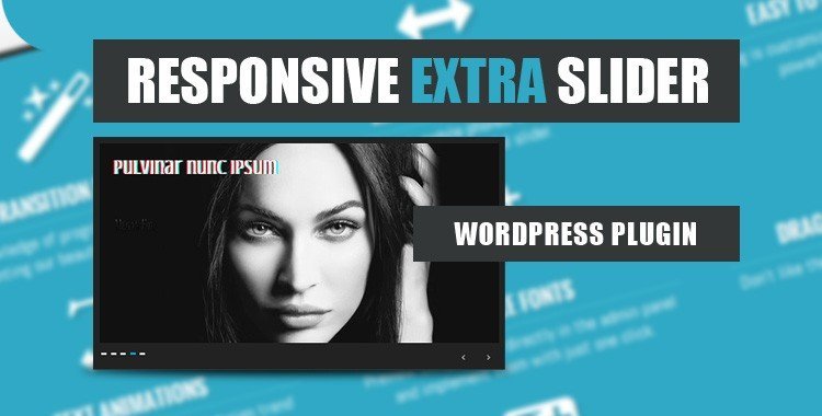 Killer Deal: Λήψη Responsive Slider + 3 Bonus WP Themes - Megan Fox