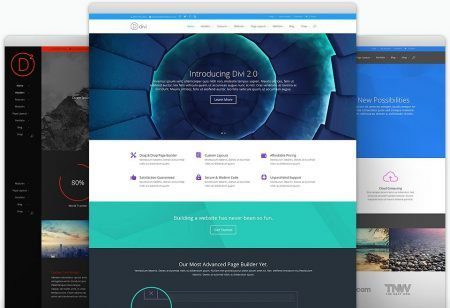 Honest Review: Is Divi REALLY All You'll Ever Need, or Just A Waste of Money? -