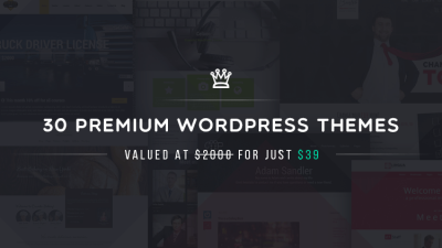 Download 30 Premium WordPress Themes With A 98% Discount! -