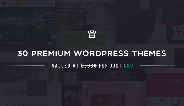 ¡Descargue 30 temas premium de WordPress con un 98% de descuento! -
