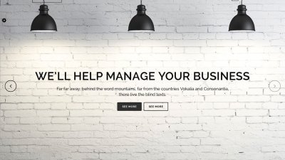 Best Premium One Page WordPress Themes -