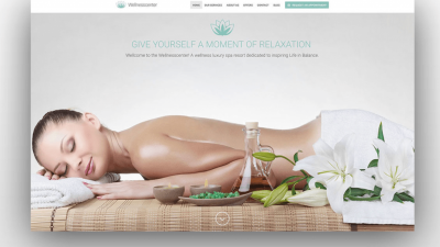 Best 3 Wellness Wordpress Themes -