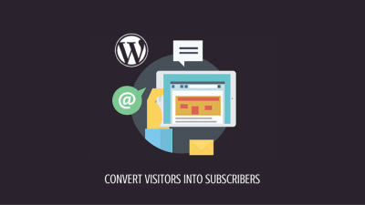 The 5 Best Newsletter plugins for WordPress -