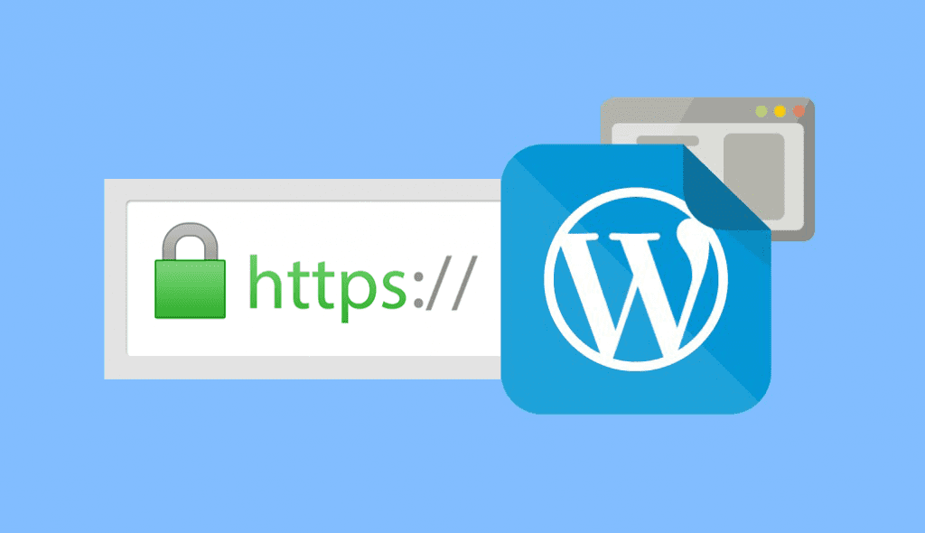 SSL & HTTPS for WordPress - Is it really necessary? - SEO