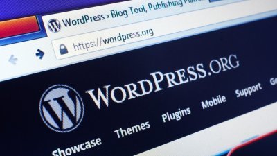 19 Amazing Ways You Can Earn Money With WordPress - WordPress