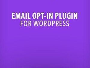 How to Choose a Wordpress Theme Like a Pro? -