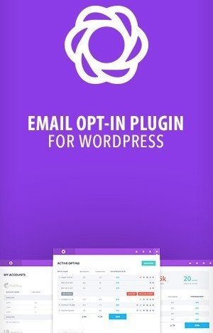 How to Choose a Wordpress Theme Like a Pro? -