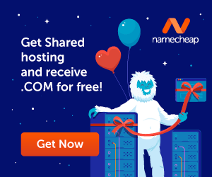 Get Shared hosting and  receive a free .COM!