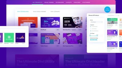 Customizing the Divi WordPress Theme from Elegant Themes: A Beginner's Guide -