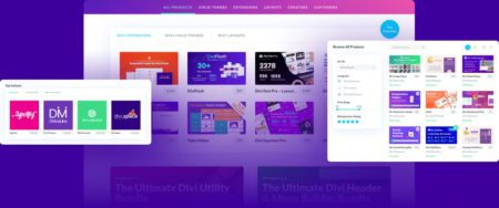 Customizing the Divi WordPress Theme from Elegant Themes: A Beginner's Guide -