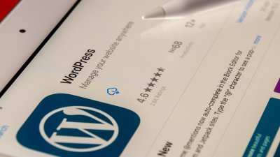 A Comprehensive Guide to the Theme Customizer API in WordPress