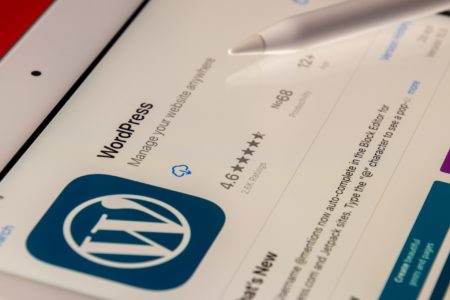 A Comprehensive Guide to the Theme Customizer API in WordPress