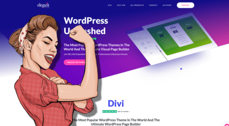 10 Divi WordPress Theme Hacks to Supercharge Your Website Design - wordpress seo services