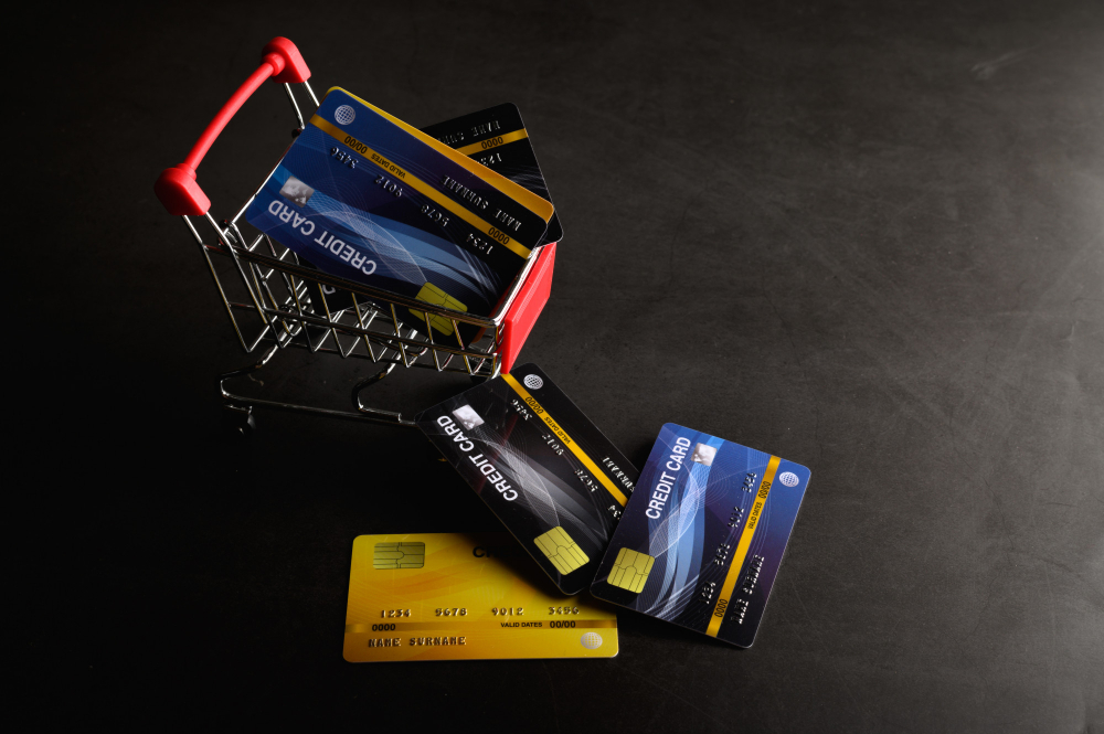 Statistical Insights into the Credit Card Industry in 2024 - Free Images for Commercial Use
