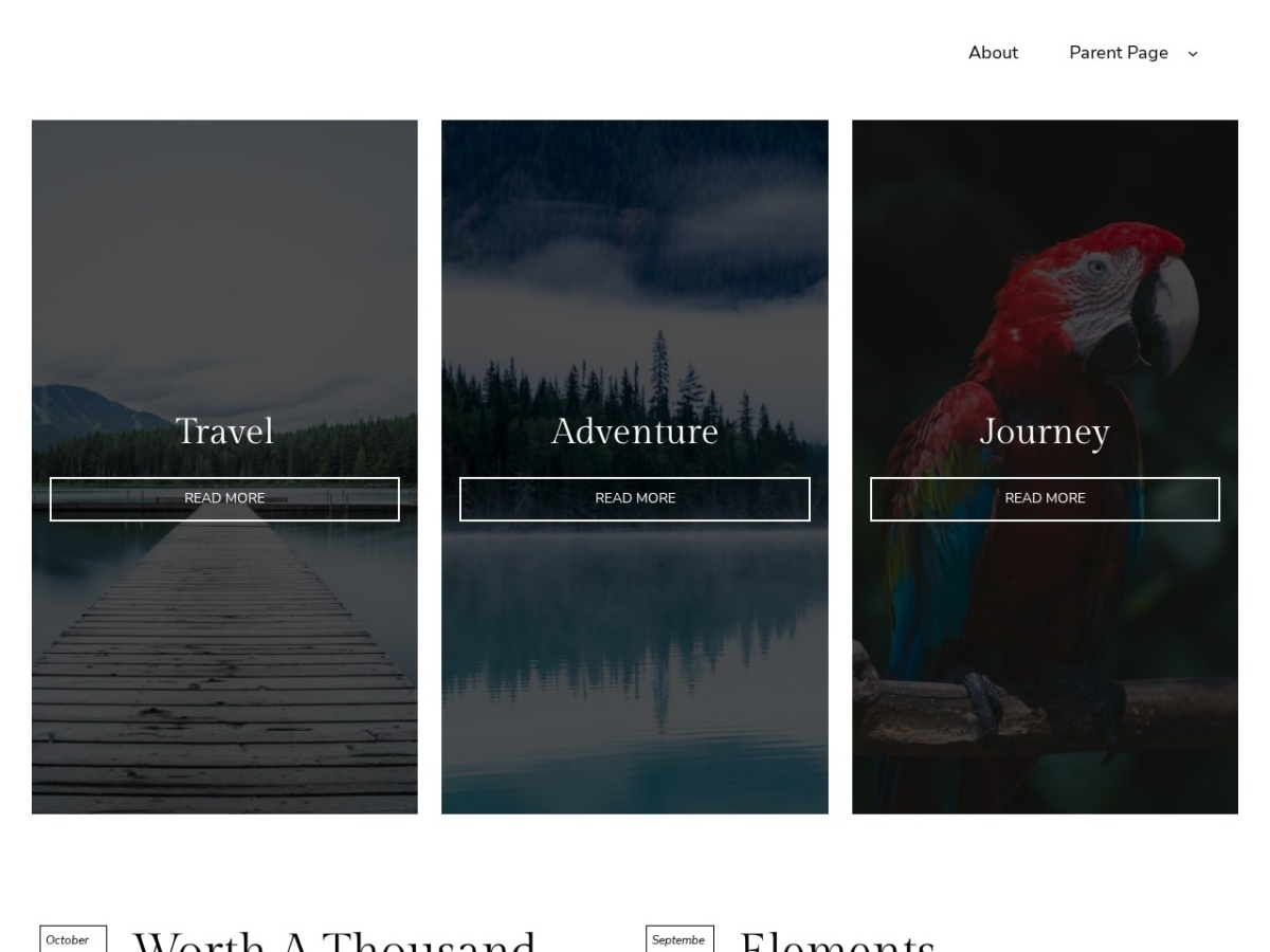 100 Best WordPress themes in 2026 - Free, Paid and Freemium - Bricksy WordPress theme screenshot 2026
