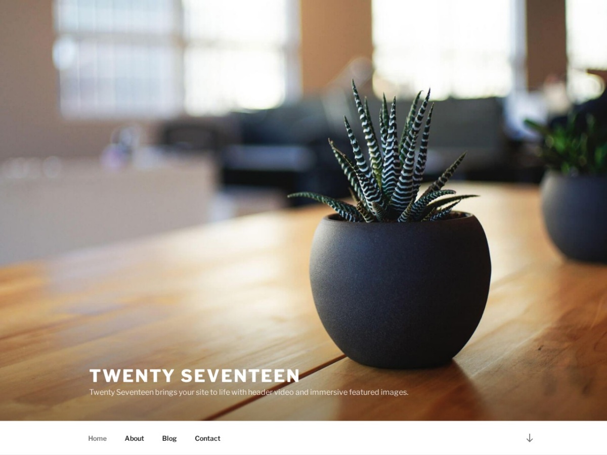 100 Best WordPress themes in 2026 - Free, Paid and Freemium - Twenty Seventeen WordPress theme screenshot 2026