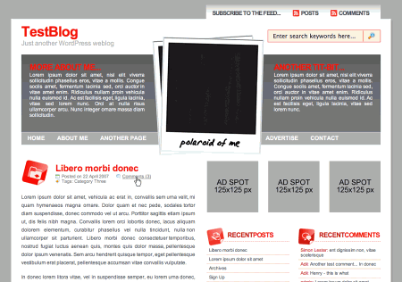 Wp-polaroid in 100 Excellent Free WordPress Themes