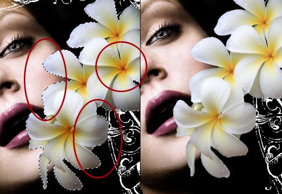 Design a Stunning French Perfume Advert Poster -
